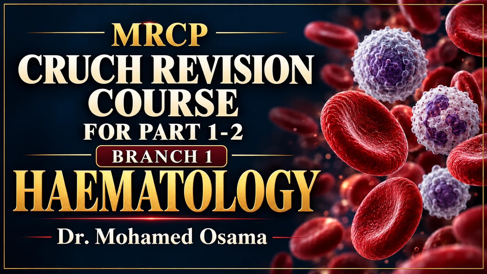 Branch - 1 - Haematology