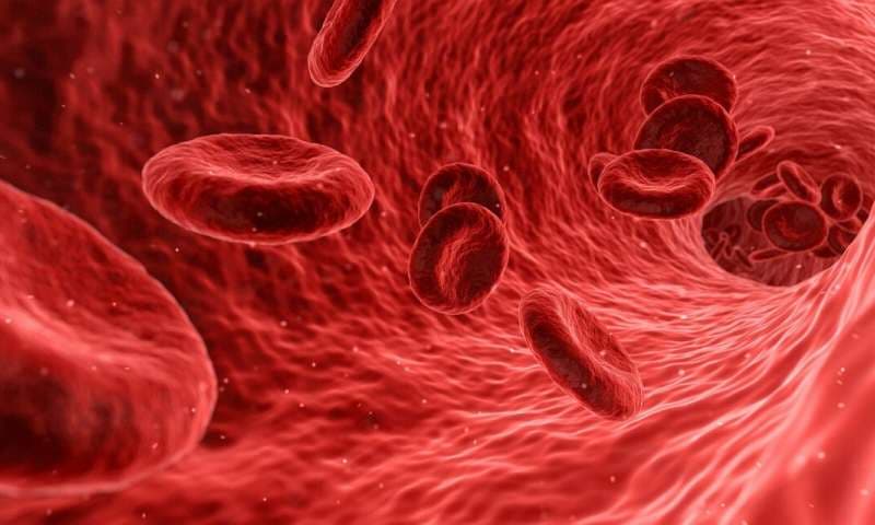 Clinical Haematology and Oncology