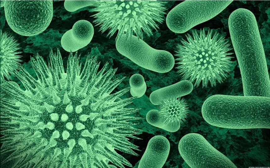 Infectious diseases and STIs