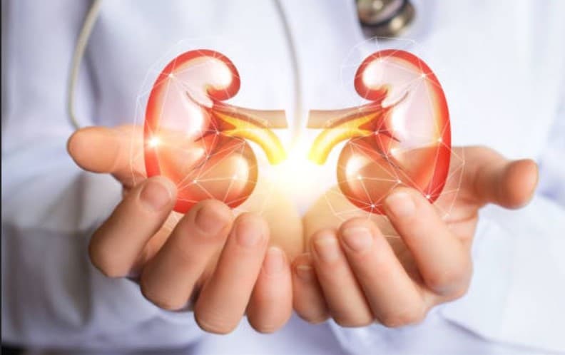 Nephrology