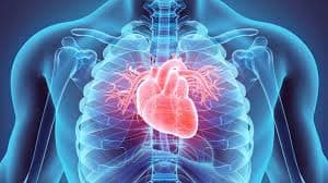 Cardiology